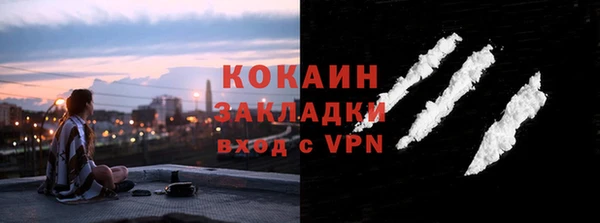 СК Новодвинск