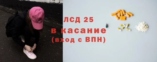 СК Новодвинск