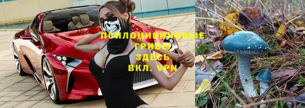 а пвп мука Новозыбков