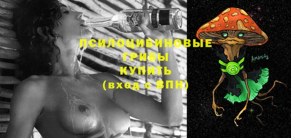 СК Новодвинск