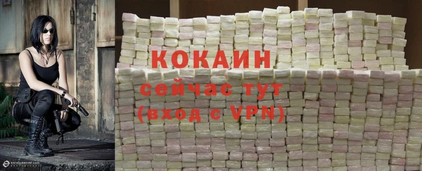 мдпв Рославль