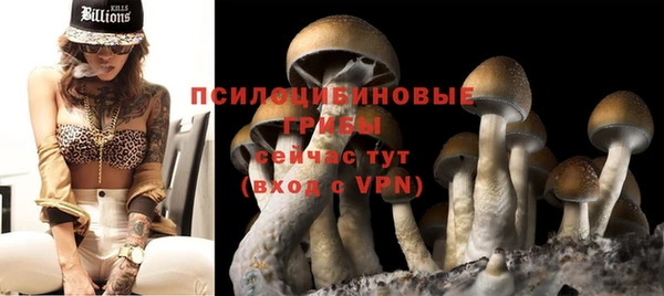 СК Новодвинск