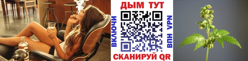 Шишки марихуана Amnesia  купить наркоту  блэк спрут маркетплейс  Спасск-Рязанский 